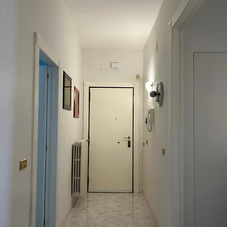 Nancy's Bari